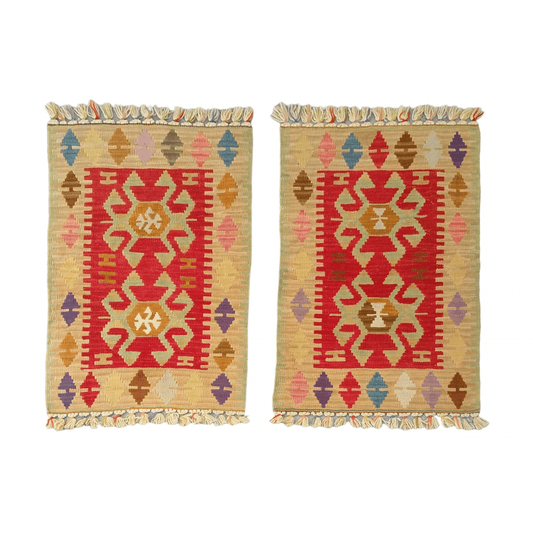 Twin Small Turkish Kilims - Kilim Art Gallery