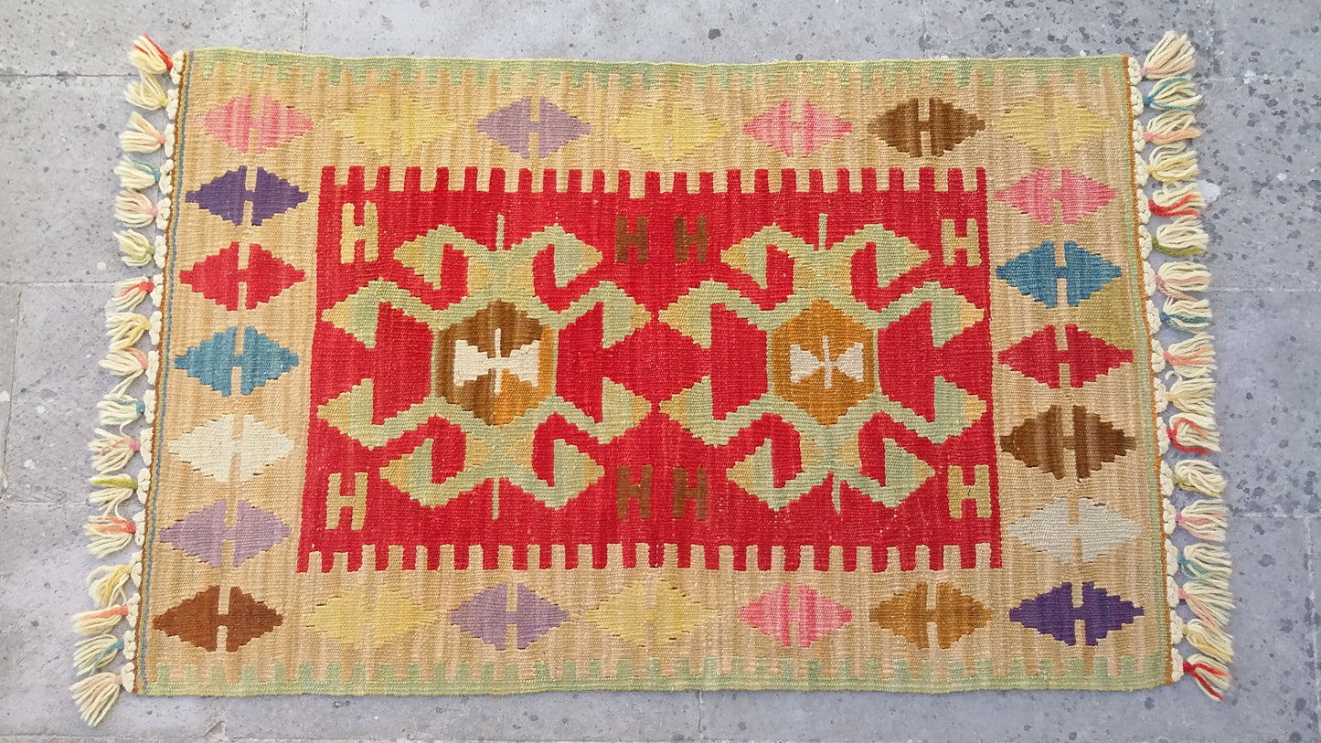 Twin Small Turkish Kilims