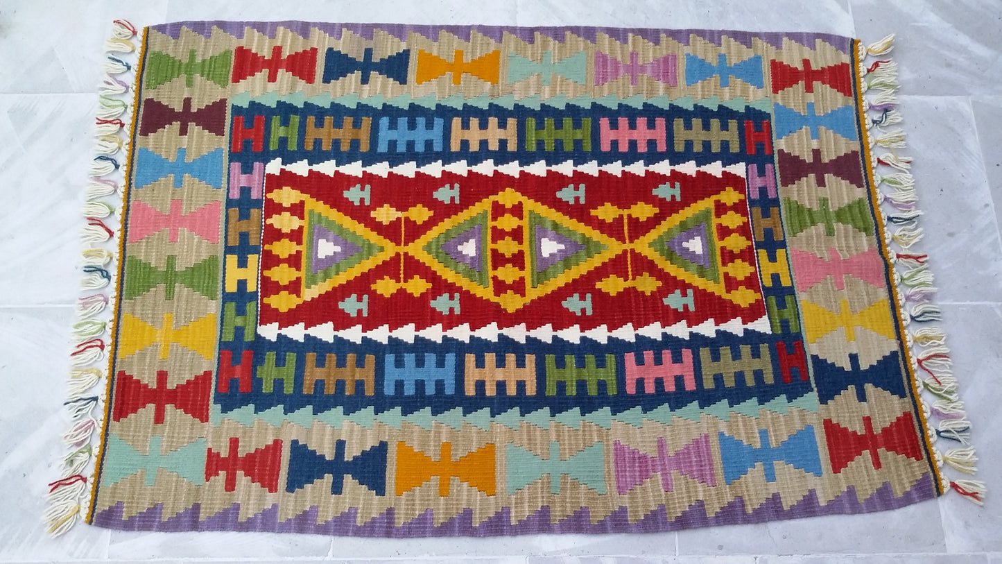 Twin Kayseri Gomurgen Kilim Rugs