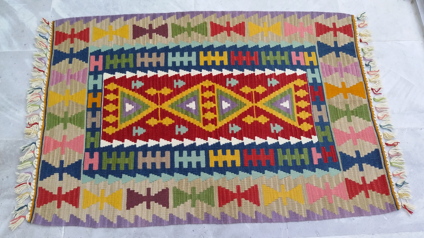 Twin Kayseri Gomurgen Kilim Rugs